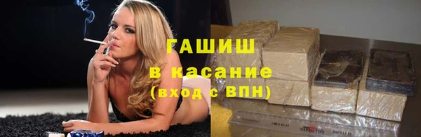 соль ск Ельня