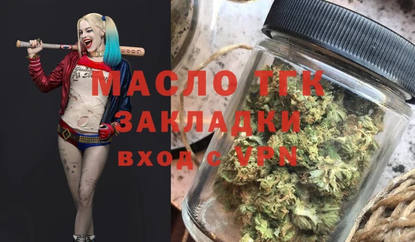 соль ск Ельня