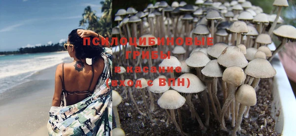 соль ск Ельня