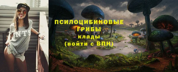 mix Елизово
