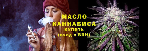 соль ск Ельня