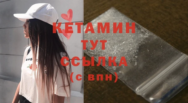 соль ск Ельня